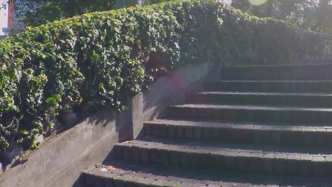 Stairway in Park Covered in Leaves