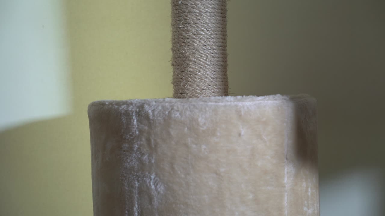 кремный пол к потолку кошачье дерево с спрятанной коробкой и гамаком