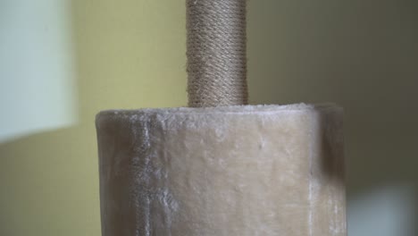 piso de crema al techo árbol de gato con caja de escondite y hamaca