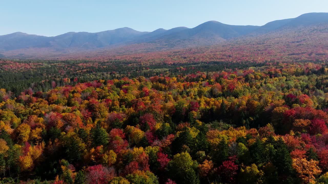 뉴햄프셔의 가을 잎자루의 공중 사진