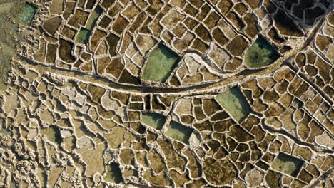 top down view of xwejni salt pans on the coast of gozo, malta - drone shot