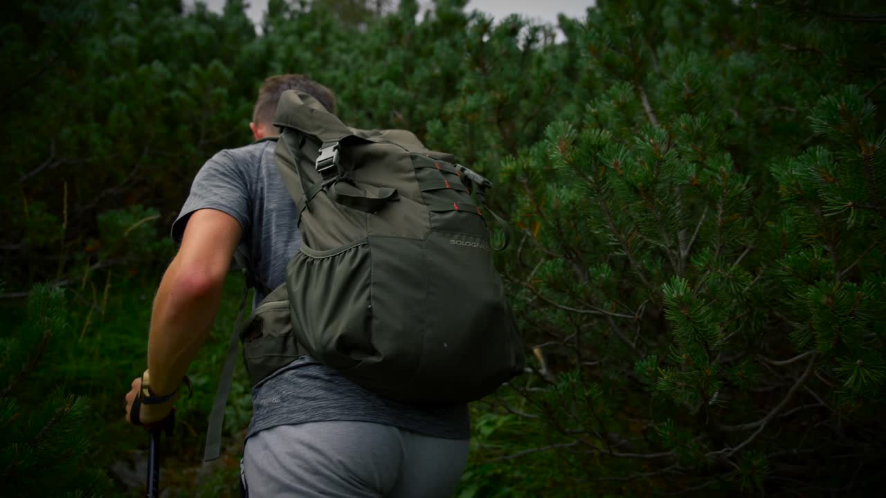 짐벌의 카메라로 앞으로 이동