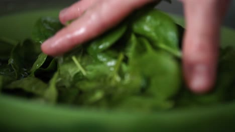 Caucasian-male-hand-washes-green-baby-leaf-spinach-in-green-bowl-filled-with-water,-SLOW-MOTION