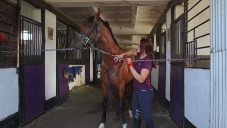 woman grooming a horse in a stable