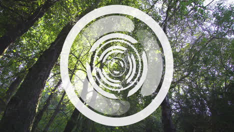 animation of circular geometric shapes over lush green forest canopy