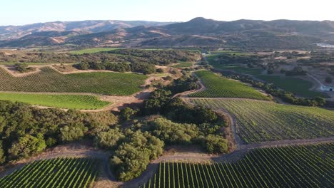 beautiful aerial of hilly vineyards in the grape growing region of californias santa rita appellation 20