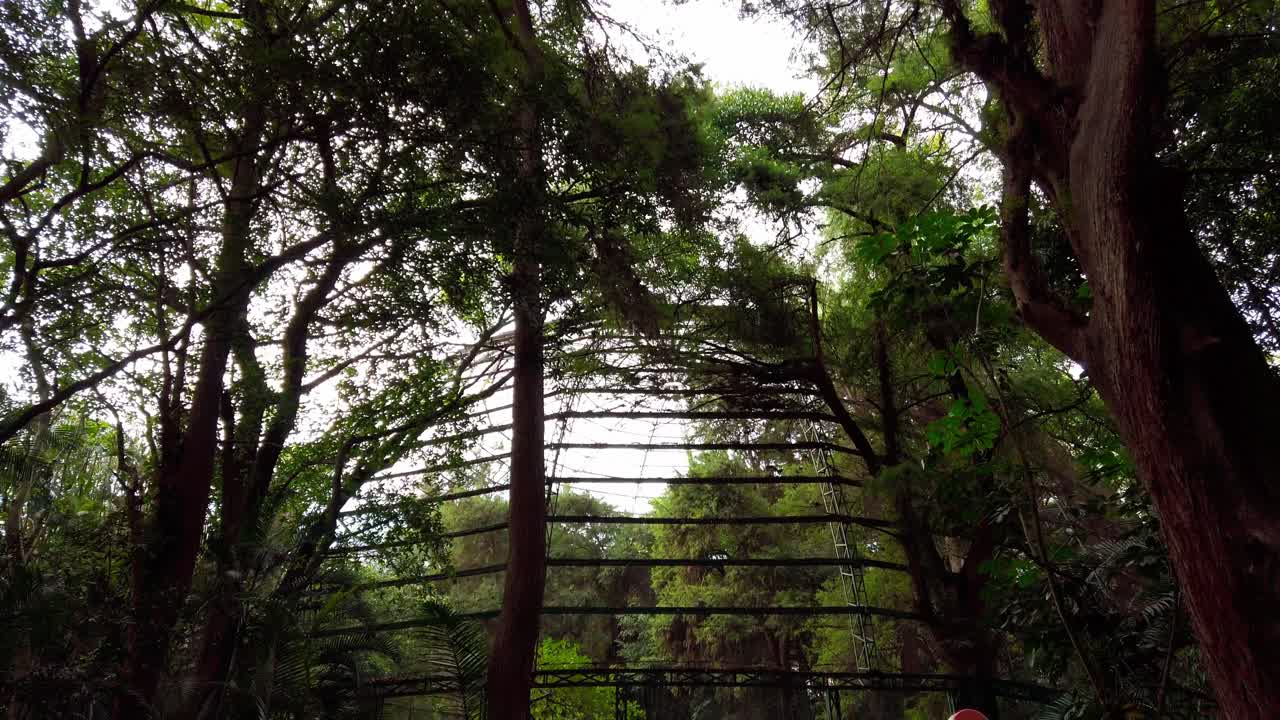 Lush trees surrounding a scenic area with natural beauty at Parque Chapultepec Morelos