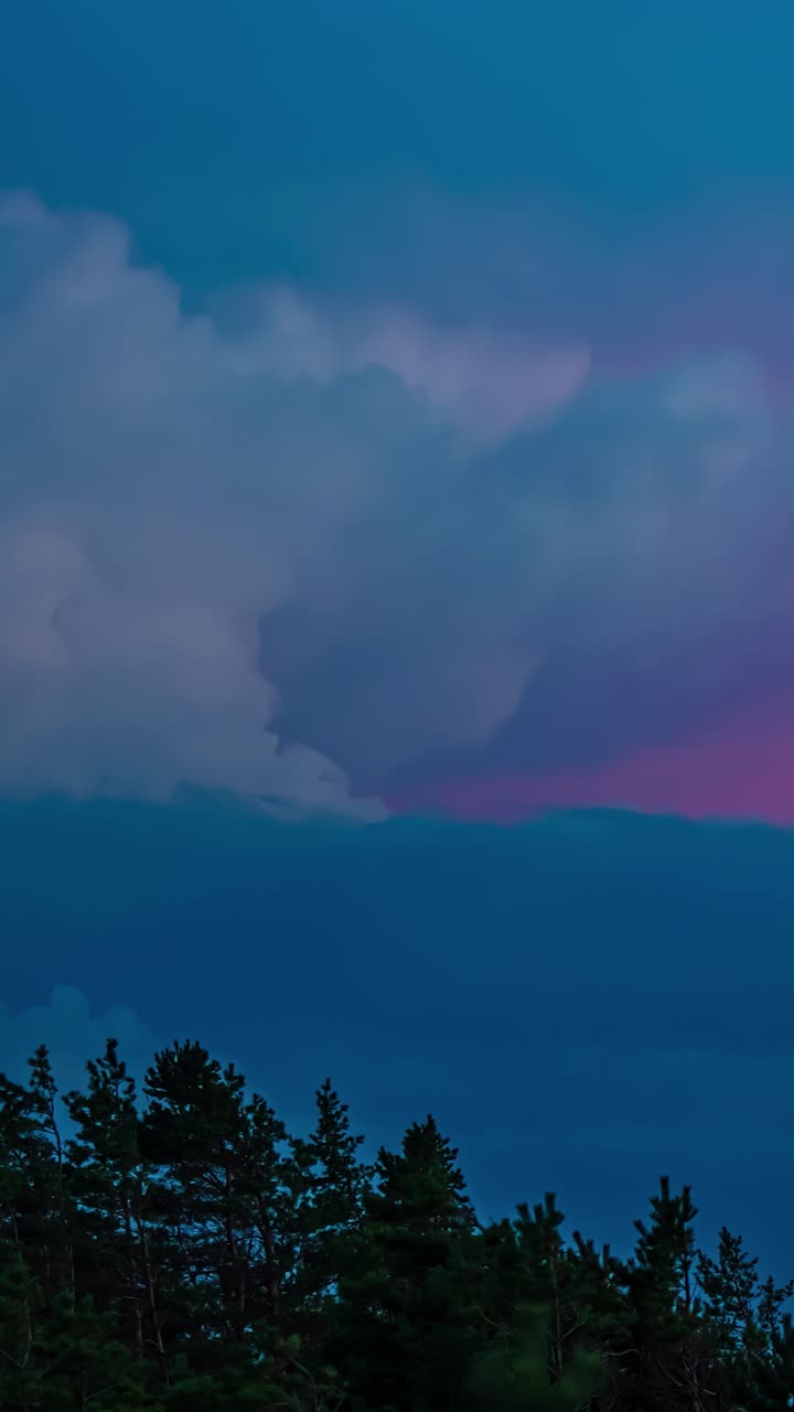 Timelapse Of Sunset And Clouds Over A Forest - Vertical Shot