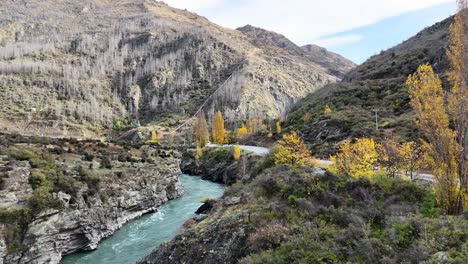 drone footage captures the serene kawarau gorge in queenstown, new zealand, highlighting autumn foliage and the winding river under soft daylight