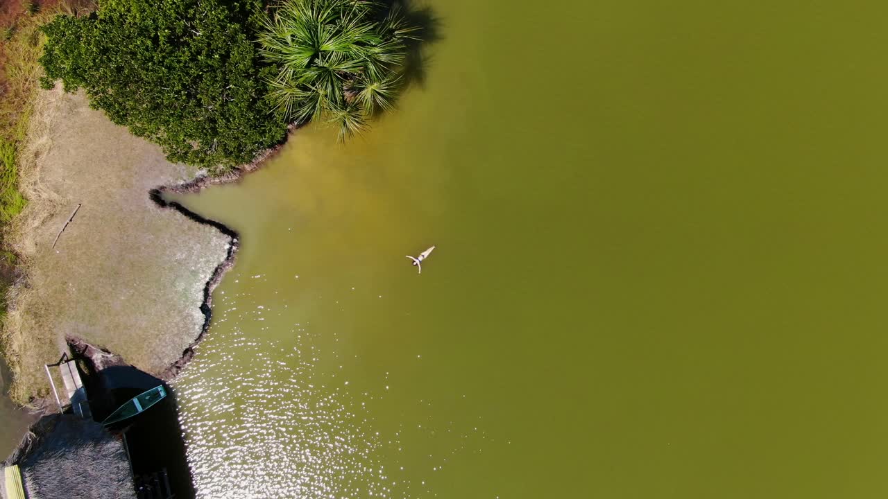 Accattivante vista aerea diurna in 4k con zoom indietro su una ragazza che si rilassa nelle calde acque della Laguna de los Milagros a Tingo Maria, nella giungla amazzonica peruviana