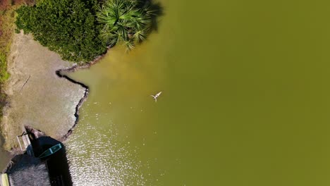 秘魯亞馬遜叢林的tingo maria的laguna de los milagros溫暖水域中放鬆的女孩