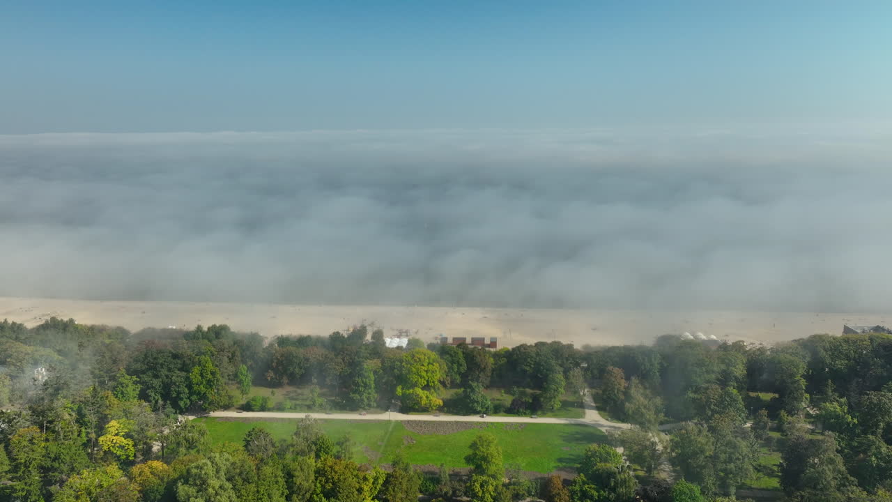 Foggy Morning at the Seaside Park
