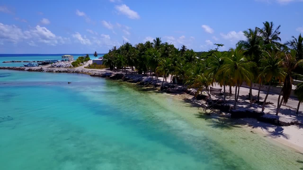 Palme da cocco che costeggiano mari tropicali calmi e cristallini nell'Oceano Indiano 4k.