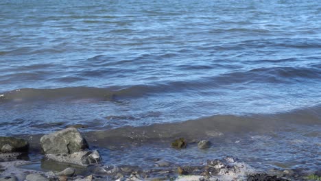 Eine-Wunderschöne-Wasserbewegung-Am-Ufer-Eines-Flusses