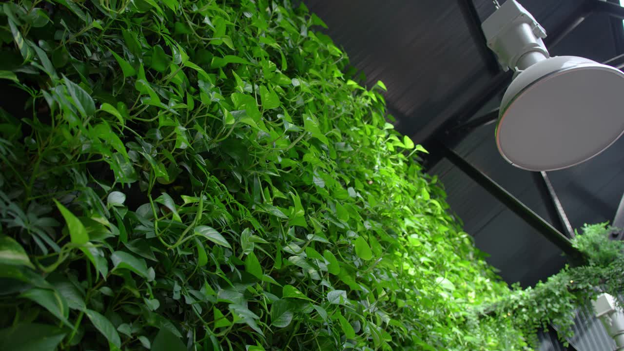 벽을 따라 꽃이 있는 멋진 건물