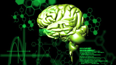 animación del procesamiento de datos médicos sobre el cerebro humano giratorio contra un fondo negro