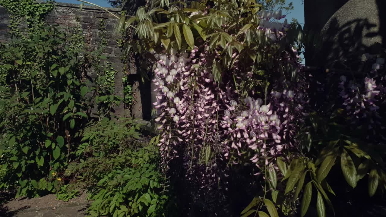 día abajo en una casa señorial jardines