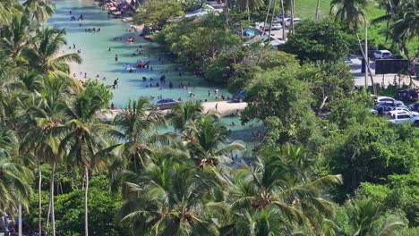 people relax and cool off in a hot day at the arroyo salado river resort in the dominican republic. pan left over palm tree canopy