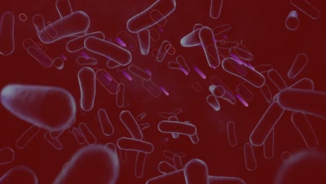 Animation-of-moving-cells-over-red-background