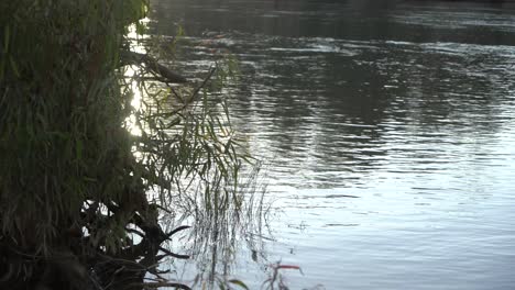 Puesta-De-Sol-En-El-Borde-Del-Río-Camping-Verano-Interior-Australiano