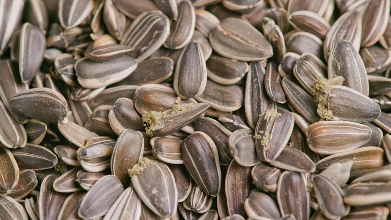 꽃 씨은 새 씨 창고 나방으로 손되었습니다.