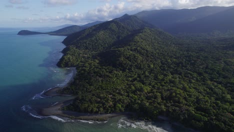 evergreen forestland of daintree national park in cape tribulation, queensland, australia