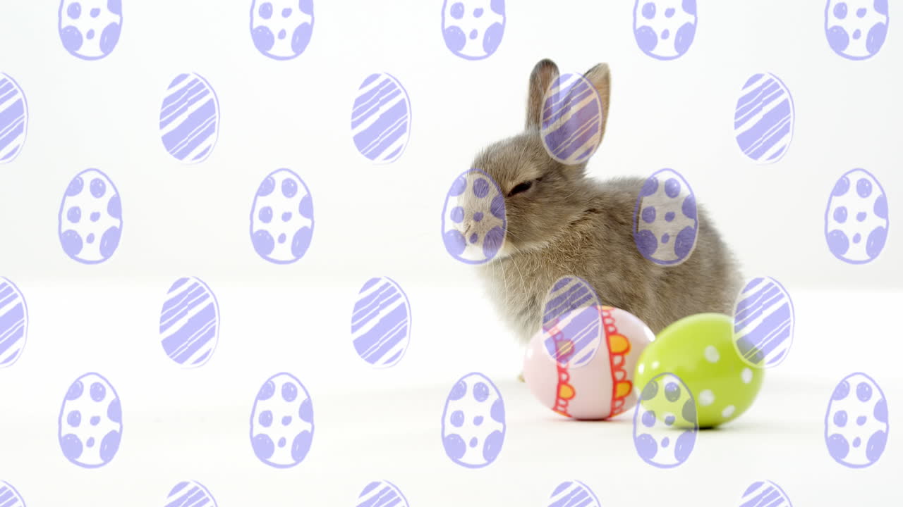 Animation of egg pattern falling over bunny