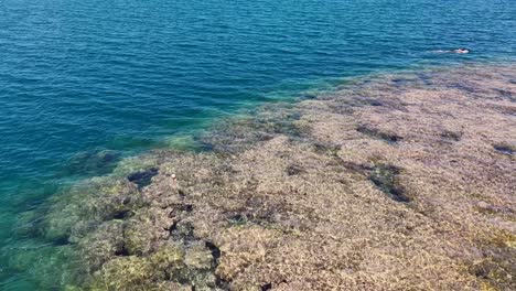 One person snorkeling in the ocean next to a large coral reef in Hanauma Bay