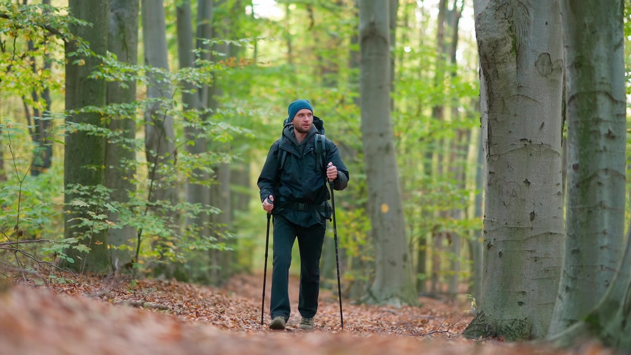 Man with Backpack and Trekking Poles Walking in Autumn Forest