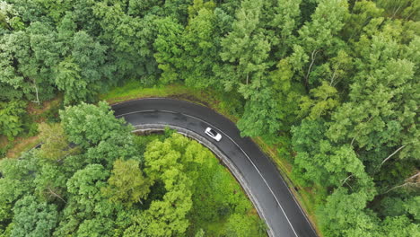 Drohnenaufnahme-Von-Oben-Nach-Unten-Eines-Weißen-Autos,-Das-Sich-Auf-Einer-Nassen-Landstraße-Bewegt,-Umgeben-Von-Dichtem-Grünen-Wald