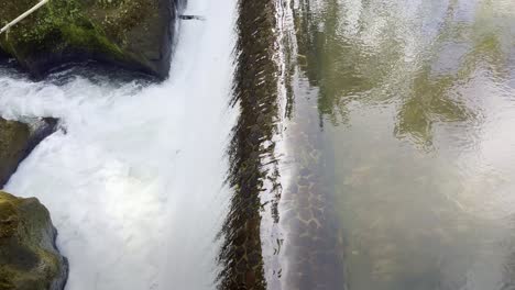 closeup of the small dam used for agricultural purpose by farmers, crops watering, flood protection, water storage, sustainability in bali