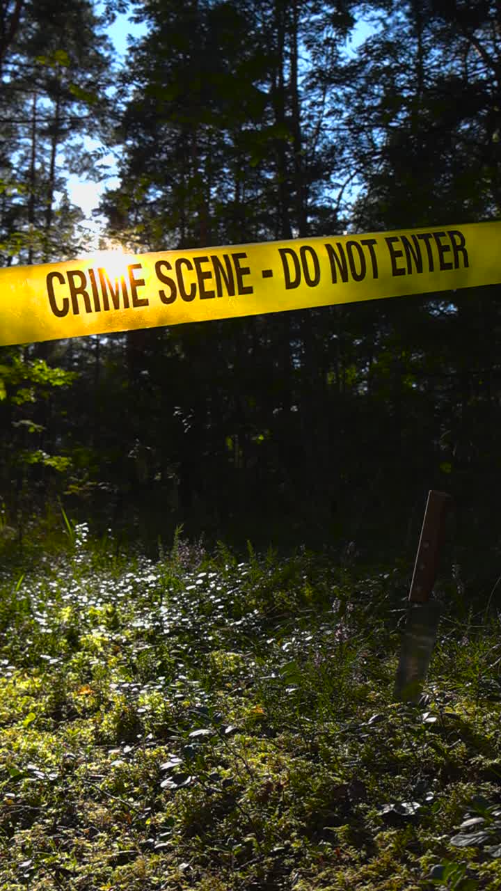 Low angle view of a yellow colored Crime scene police line forensics investigation tape pulled around and over a shiny kitchen knife stabbed in a forest ground during a sunny day, sun backlighting it