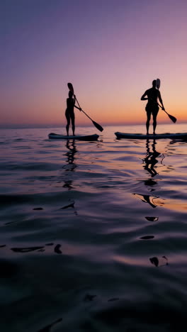 people paddleboarding at sunset