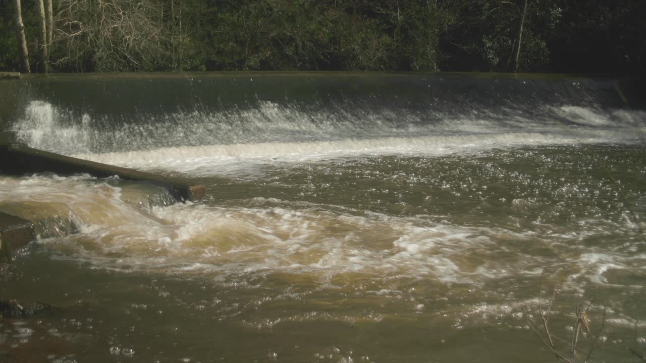 A fast cascading weir flowing in to a river in the forest