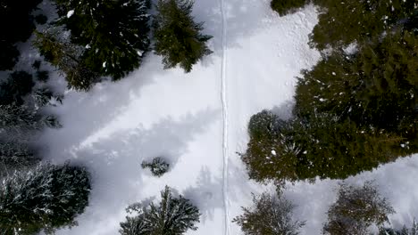 Blick-Hinunter-Auf-Den-Frischen-Weg-Durch-Unberührten-Schnee