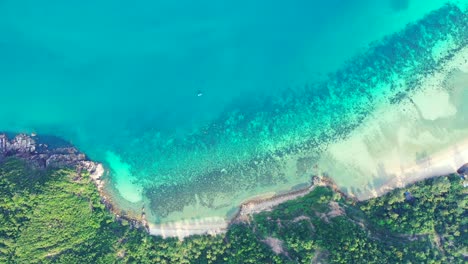 abstract-tropical-island-with-palm-trees-background,-white-sand-beach-and-crystal-clear-turquoise-water