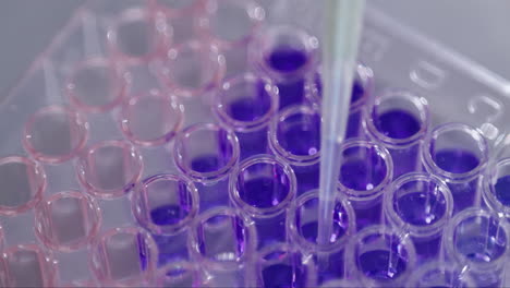 pipeta, médica y de cerca con la investigación