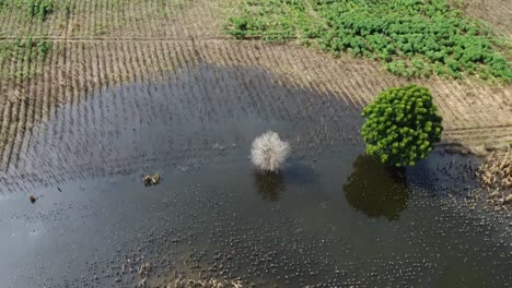 Heavy-flooding-nature-disaster-In-Cambodia