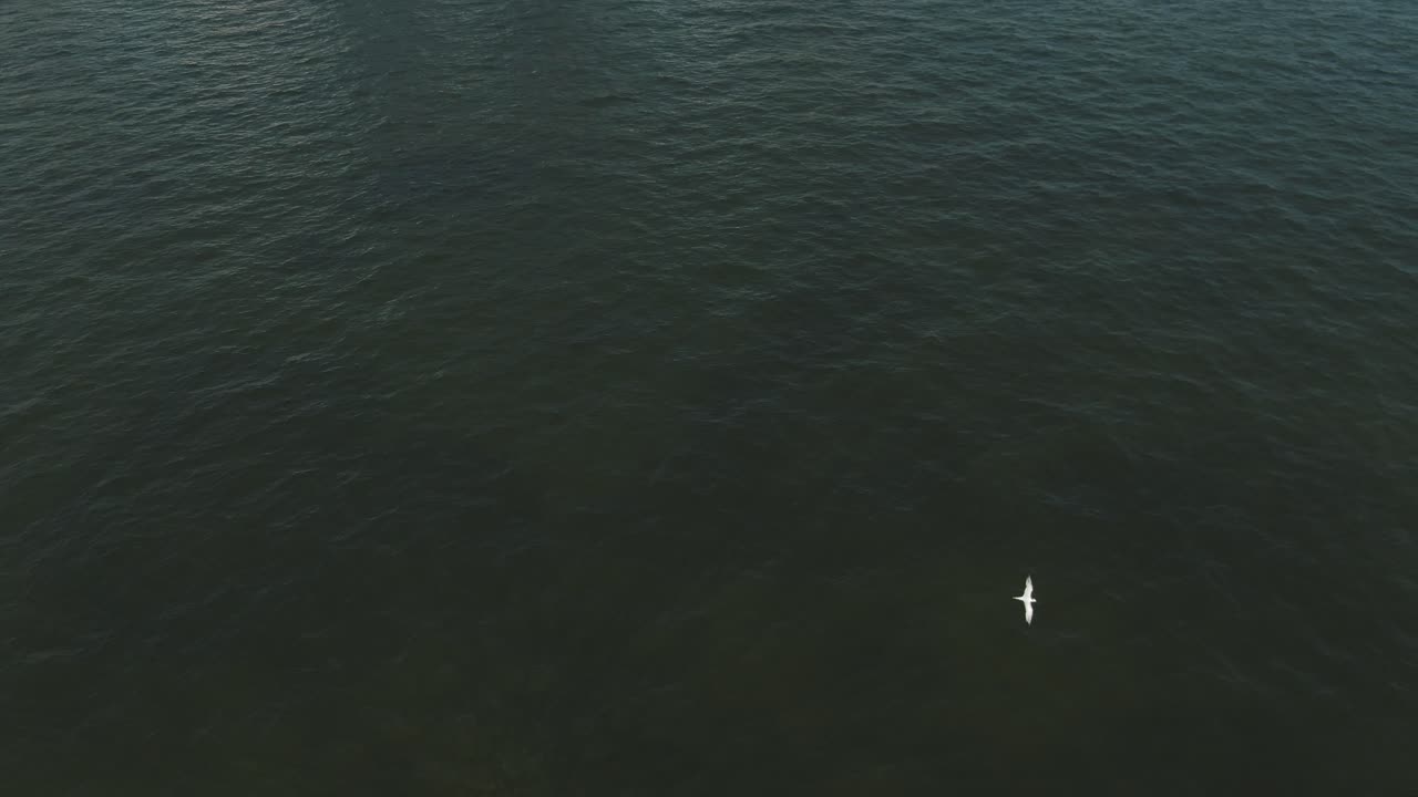 revelación aérea épica de brickell waterfront downtown miami skyline 4k