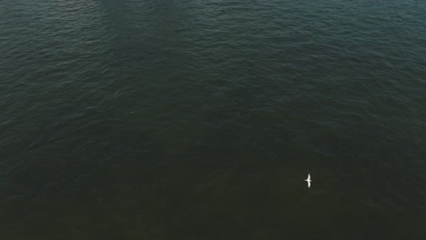 revelación aérea épica de brickell waterfront downtown miami skyline 4k