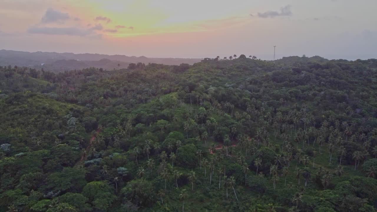 Aerial view of the lush vegetation in the rural region around the town El Lim&oacute;n on the Saman&aacute; peninsula in the Dominican Republic