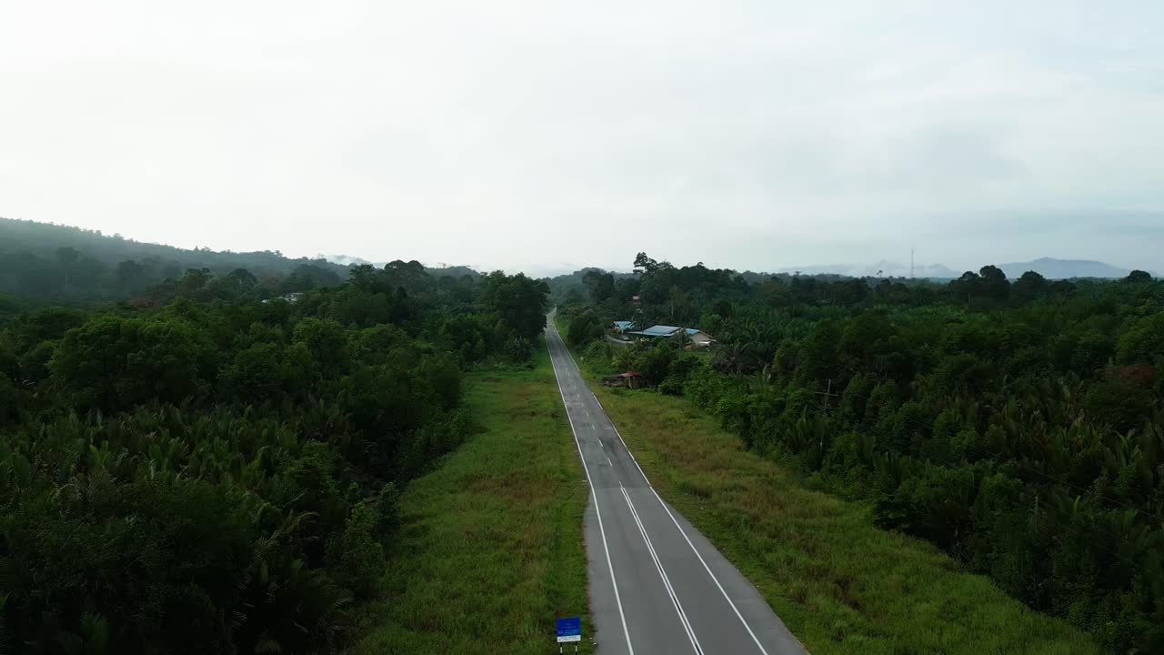 아리엘 드론 뷰 안개가 가득한 아침 해가 지고 푸른 숲이 세메파디 해안 도로 링크 사라와크, 보르네오에 있습니다.