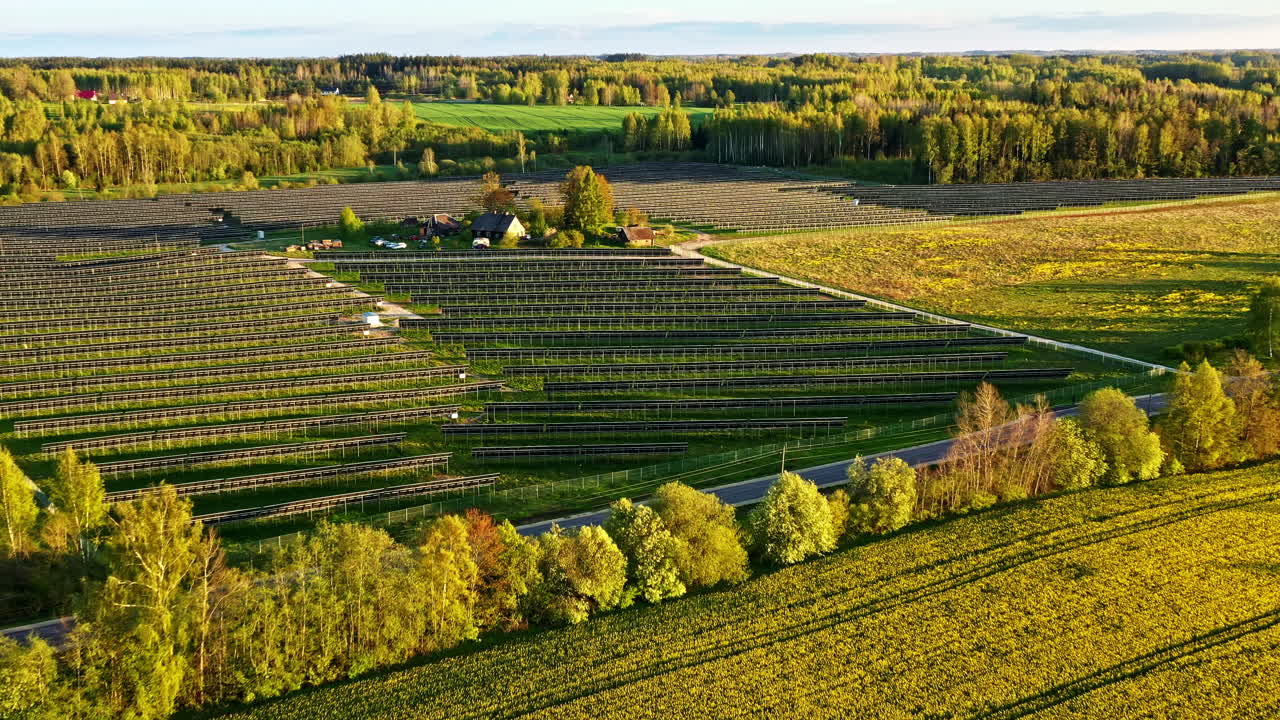 Drone view of large solar panel farm on wide agricultural field in evening sunlight