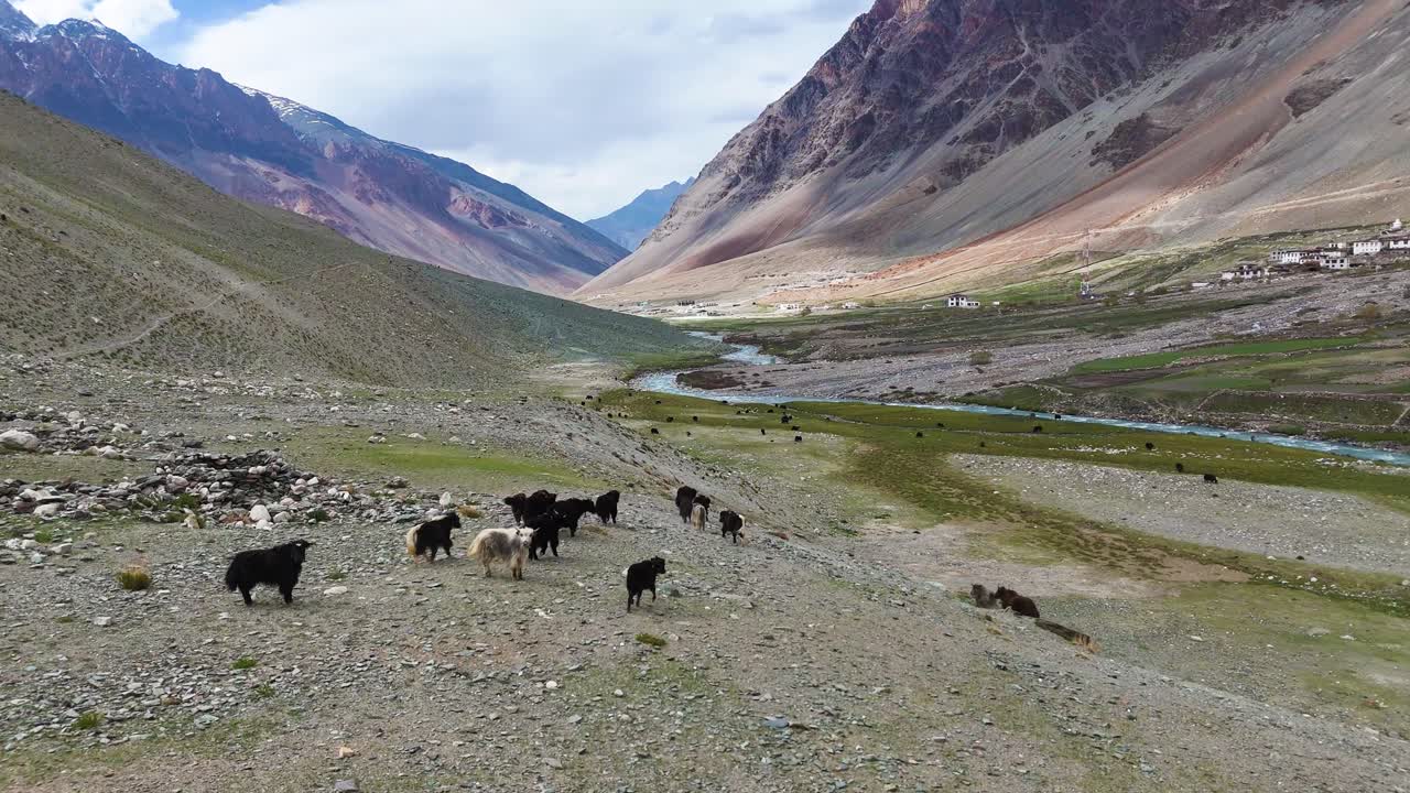 Aerial drone shot revealing the serene and expansive vistas that define Ladakh’s spectacular scenery.