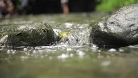 a close-up shot of a bickering stream of water in the jungle rainforest of tanzania with stones in the water