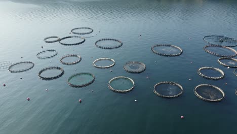 drone shot of fish farms in the sea.