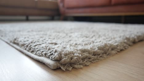 beige shaggy rug on light wood floor