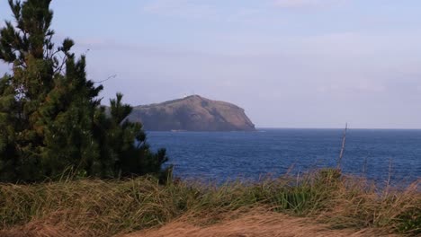 beautiful nature landscape grass fields and blue ocean on jeju island