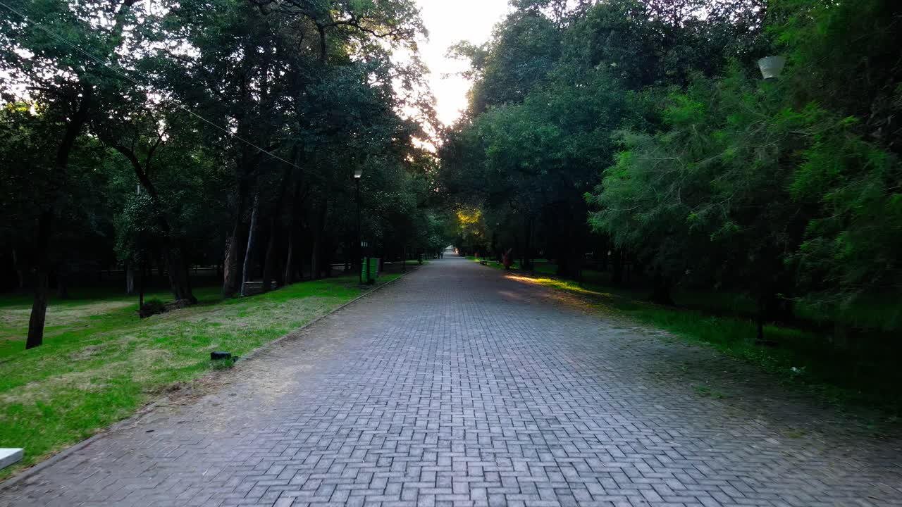 The street of the kings in mexico city main park