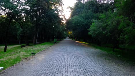 the street of the kings in mexico city main park